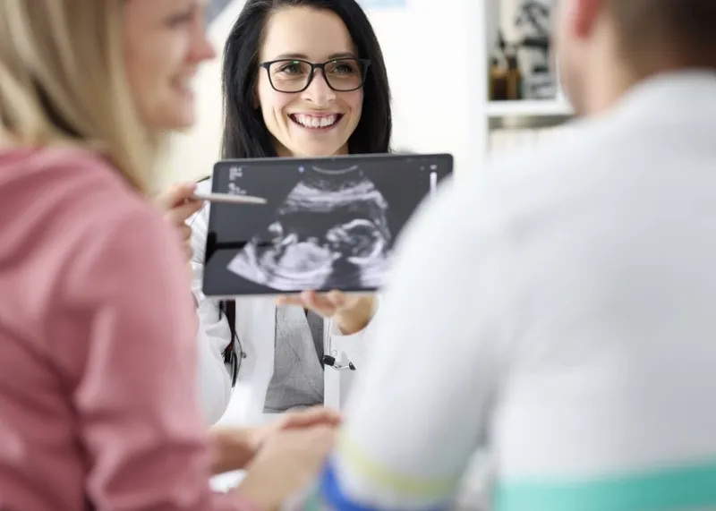 Laboratory equipment and instruments used for in vitro fertilization procedures.