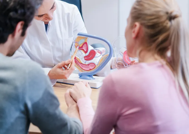 Doctor explaining fertility test results to a couple during a consultation in Istanbul