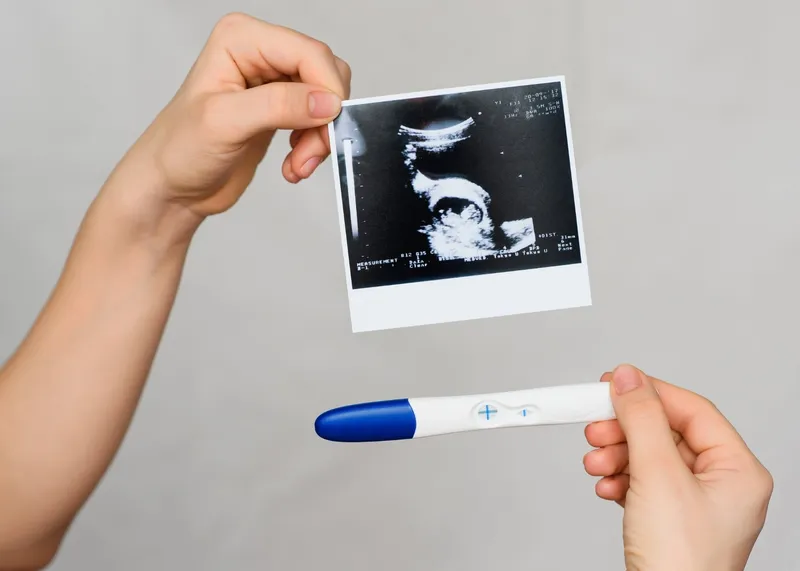 IVF laboratory incubators where embryos are cultured after egg retrieval