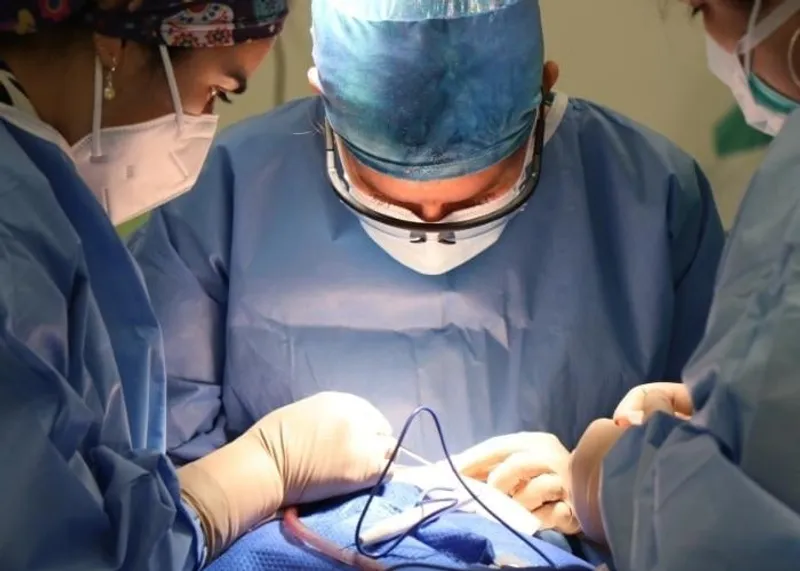 Foods from the staged post-operative diet that patients follow after bariatric surgery.