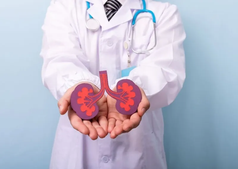 Organ Transplantation in Istanbul, Turkey
