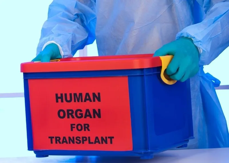 A doctor explaining organ donation consent and evaluation steps to a patient at an Istanbul transplant center.