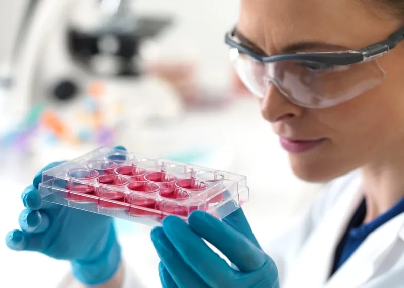 Clinician reviewing imaging while explaining which stem cell uses are still experimental
