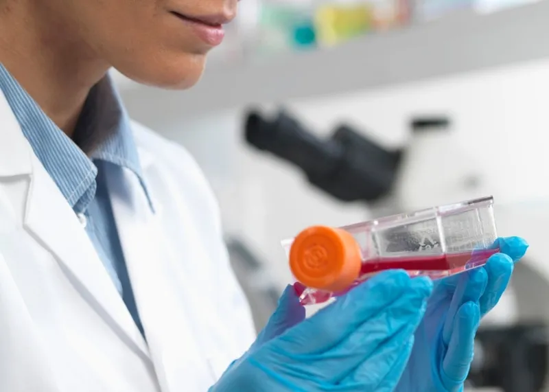 Medical team reviewing regulatory documents for a cell-based treatment
