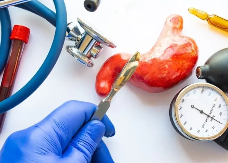 Weight Loss Surgery in Istanbul: Types, Safety and Recovery